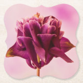 Burgundy Pink Columbine Untersetzer (Vorderseite)