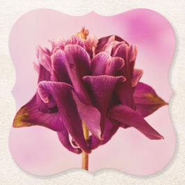 Burgundy Pink Columbine Untersetzer