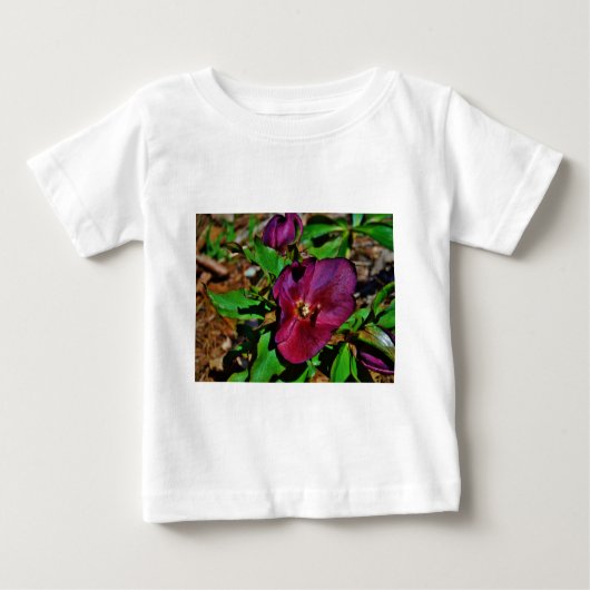 Burgundy Pink Lenten Rose Baby T-shirt (Vorderseite)