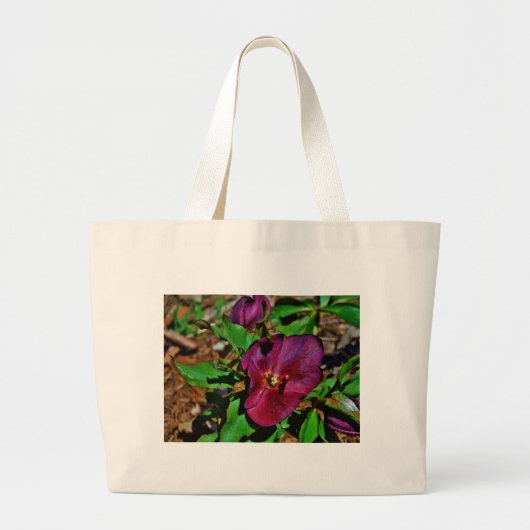Burgundy Pink Lenten Rose Jumbo Stoffbeutel (Vorne)
