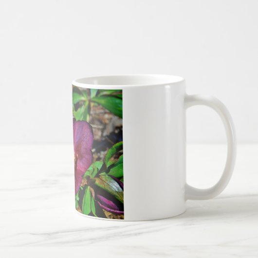 Burgundy Pink Lenten Rose Kaffeetasse (Rechts)