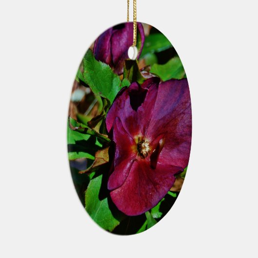 Burgundy Pink Lenten Rose Keramikornament (Rechts)