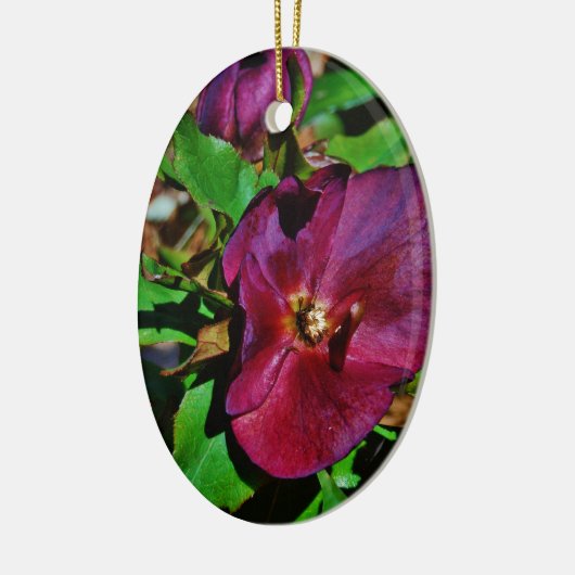 Burgundy Pink Lenten Rose Keramikornament (Links)