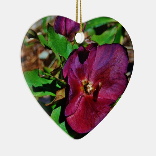 Burgundy Pink Lenten Rose Keramikornament (Rechts)