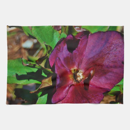 Burgundy Pink Lenten Rose Küchentuch (Horizontal)