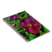 Burgundy Pink Lenten Rose Notizblock (Rechte Seite)