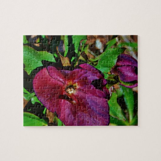 Burgundy Pink Lenten Rose Puzzle (Horizontal)