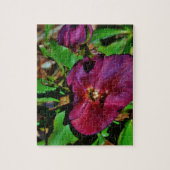 Burgundy Pink Lenten Rose Puzzle (Vertikal)