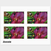 Burgundy Pink Lenten Rose Rechteckiger Aufkleber (Blatt)