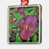 Burgundy Pink Lenten Rose Silbernes Ornament (Links)