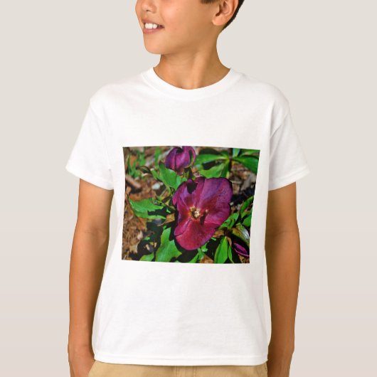 Burgundy Pink Lenten Rose T-Shirt (Vorderseite)