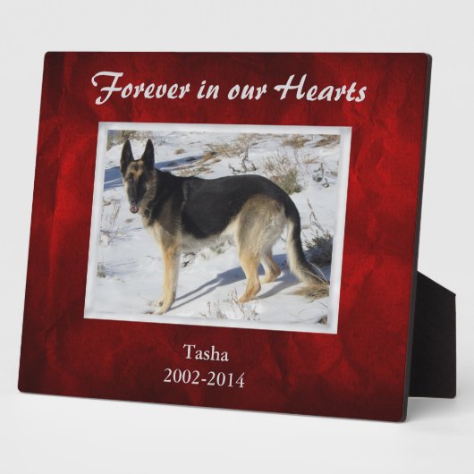 Burgundy Red Silver Pet Memorial Template Fotoplatte (Seite)