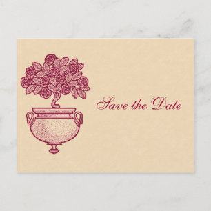 Burgundy Rosebush Save the Date auf Cream Postcard Ankündigungspostkarte