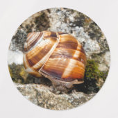 Burgundy snail etiketten (Design 1)