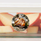 Burgundy snail etiketten (Befestigt)