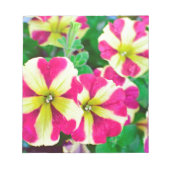 Burgundy Star Petunias Notizblock (Vorderseite)
