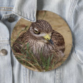 Burhinus oedicnemus button (Beispiel)