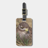 Burhinus oedicnemus gepäckanhänger (Vorderseite vertikal)