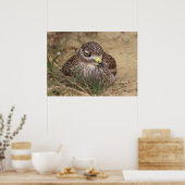 Burhinus oedicnemus poster (Küche)