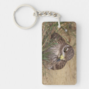 Burhinus oedicnemus schlüsselanhänger