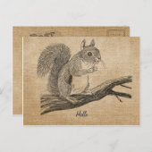 Burlap Vintag Eichhörnchen Postkarte (Vorne/Hinten)