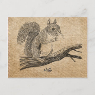 Burlap Vintag Eichhörnchen Postkarte