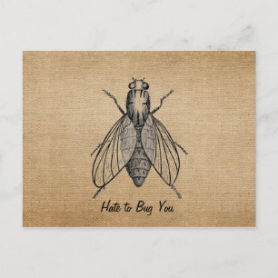 Burlap Vintag Hate zu Bug Sie Fliegen Postkarte