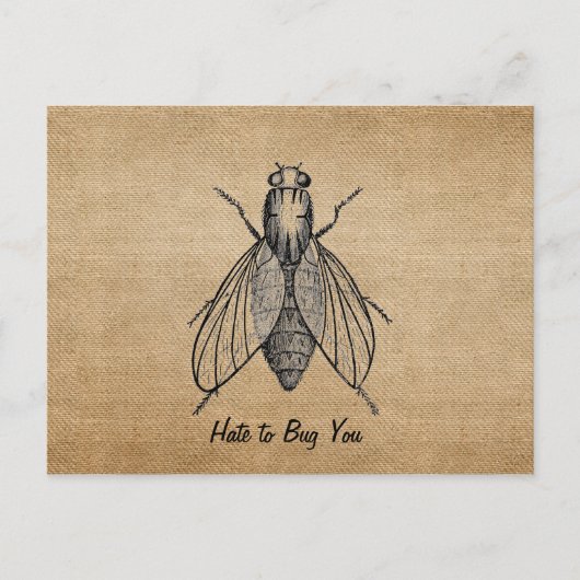 Burlap Vintag Hate zu Bug Sie Fliegen Postkarte (Vorderseite)
