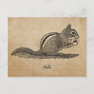 Burlap Vintag hello Chipmunk Postkarte