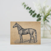 Burlap Vintag Horse Postkarte (Stehend Vorderseite)
