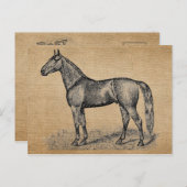 Burlap Vintag Horse Postkarte (Vorne/Hinten)