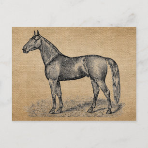 Burlap Vintag Horse Postkarte