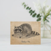 Burlap Vintag Raccoon Postkarte (Stehend Vorderseite)