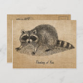 Burlap Vintag Raccoon Postkarte (Vorne/Hinten)