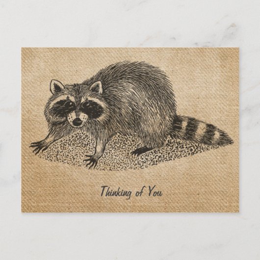 Burlap Vintag Raccoon Postkarte (Vorderseite)