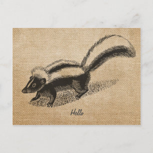 Burlap Vintag Skunk Postcard Postkarte