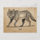 Burlap Vintag Wolf Postkarte (Vorderseite)