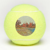 Burleigh Falls Paint 3pk Penn Tennis Ball (Vorderseite)