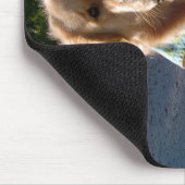 Burley_Mousepad Mousepad (Ecke)