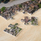 Burlington Vermont Puzzle (Seite)