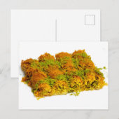 Burma Kadayif Postkarte (Vorne/Hinten)