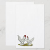 Burmese Bantams Briefpapier (Vorne/Hinten)