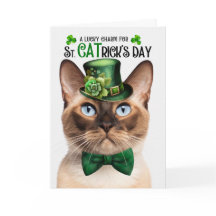 Burmese Cat Funny St CATrick's Day Lucky Charm