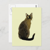 Burmese Cat Postkarte (Vorne/Hinten)