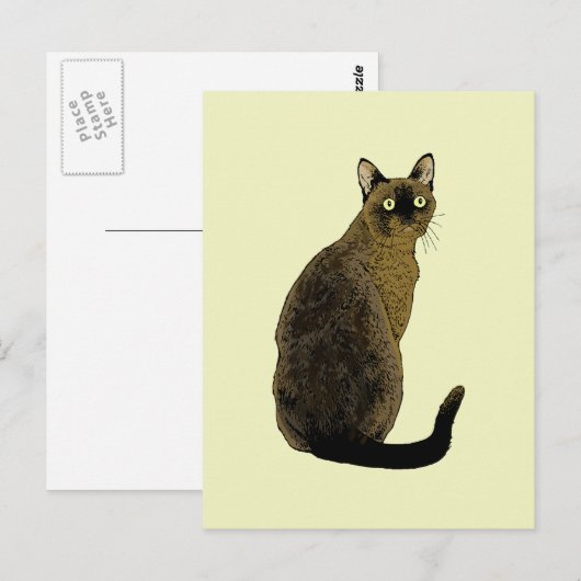Burmese Cat Postkarte (Vorne/Hinten)
