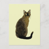 Burmese Cat Postkarte (Vorderseite)