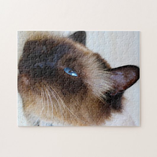 Burmese Cat. Puzzle (Horizontal)