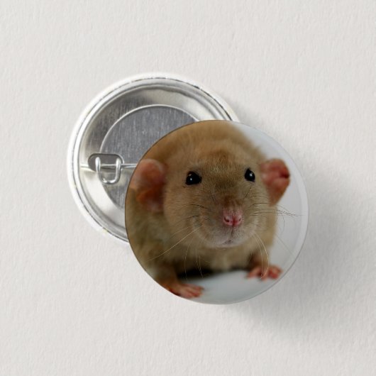 Burmese dumbo Rat Button (Vorne & Hinten)
