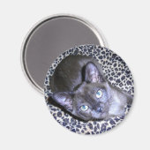 Burmese Magnet (Vorderseite/Rückseite)