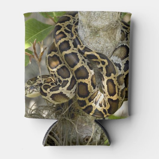 Burmese Python Dosenkühler (Vorderseite)